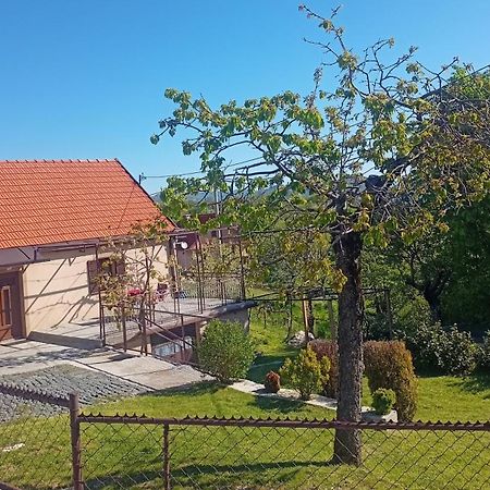 Holiday In The National Park Lovcen Cetinje Exterior photo